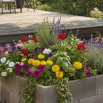 Jardinière en parpaing remplie de fleurs dans un jardin avec terrasse en bois.