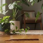Une mille-patte sur un sol en bois, entourée de plantes d'intérieur, symbolisant l'harmonie spirituelle.