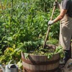 Un jardinier prépare du purin de consoude dans son jardin, illustrant la légalité de son usage personnel.