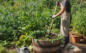 Un jardinier prépare du purin de consoude dans son jardin, illustrant la légalité de son usage personnel.